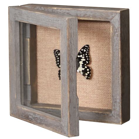 small glass shadow box